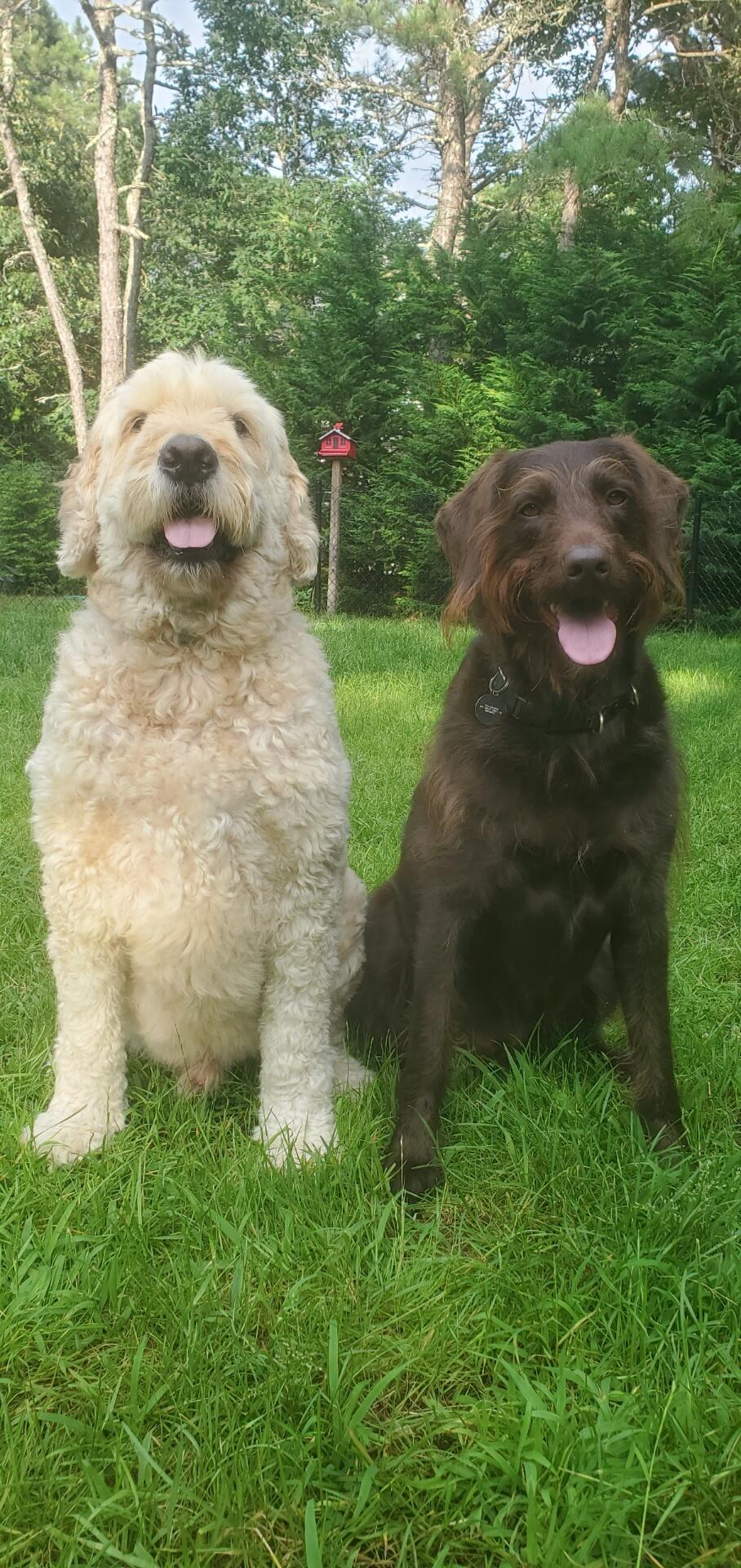 Floyd and Enzo
