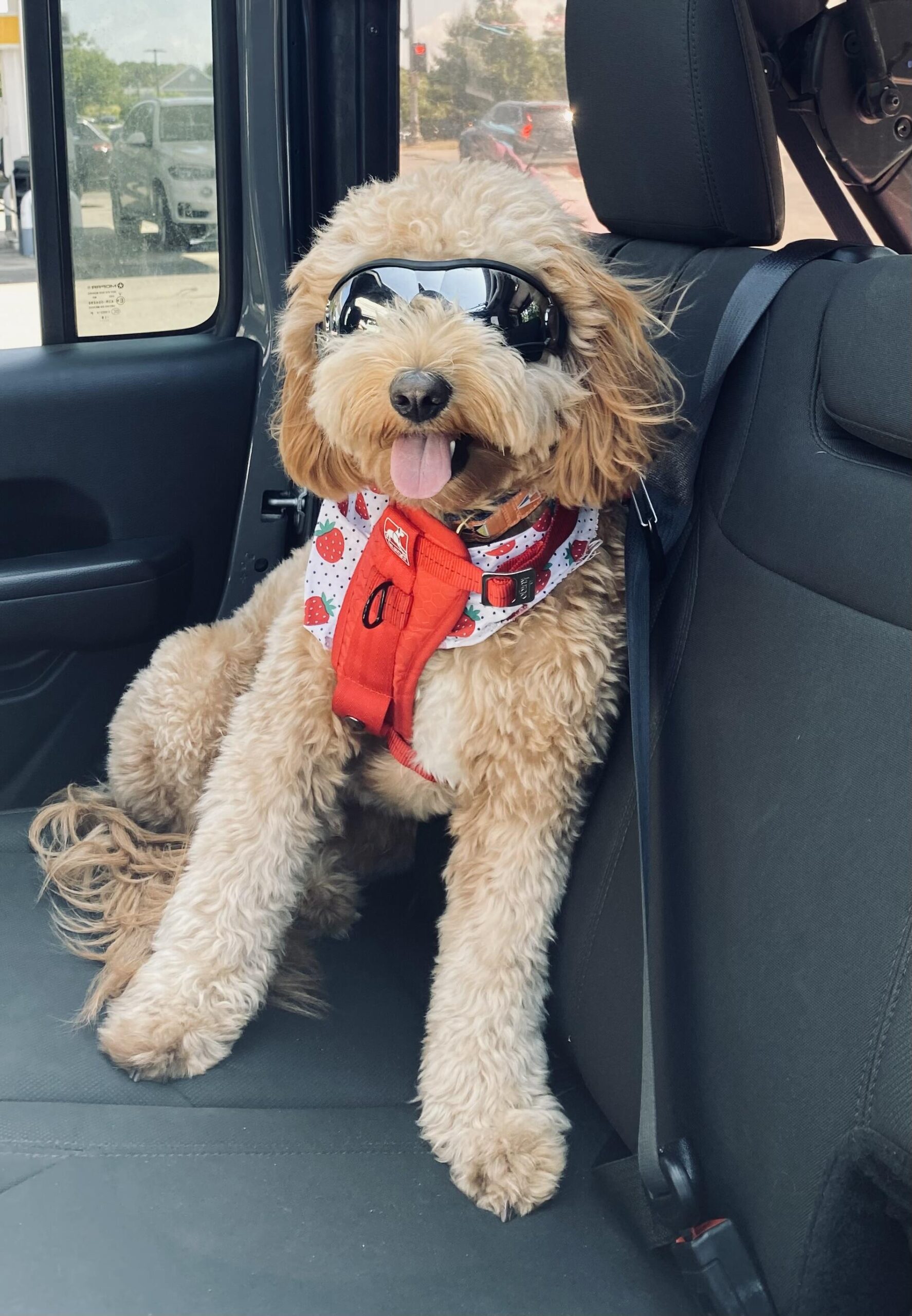 Finnegan August