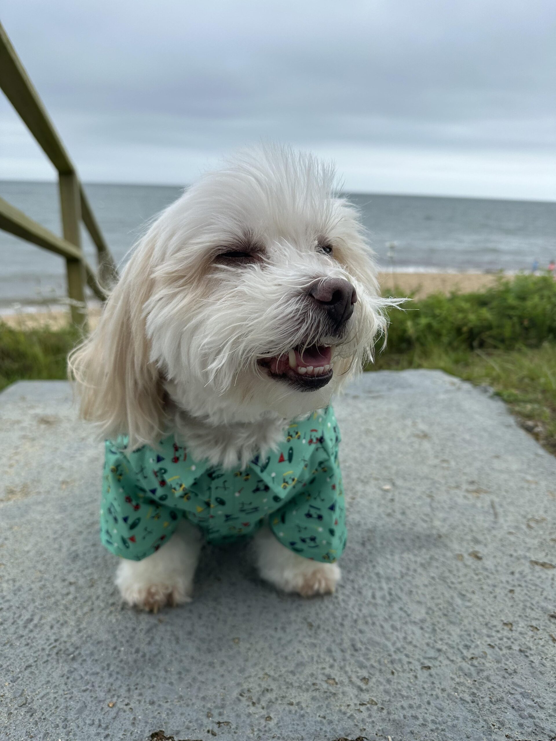 Benji