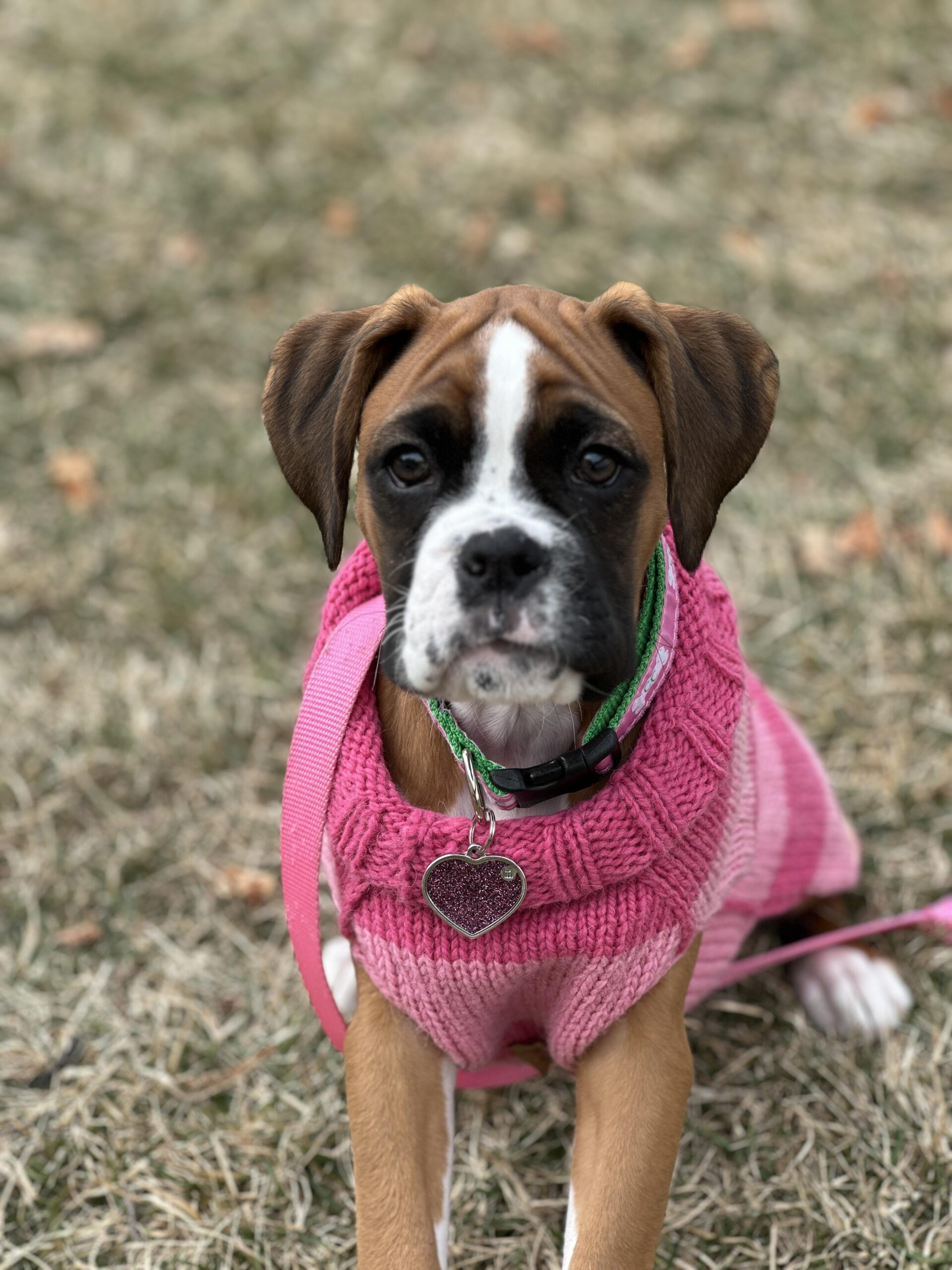 Penny
