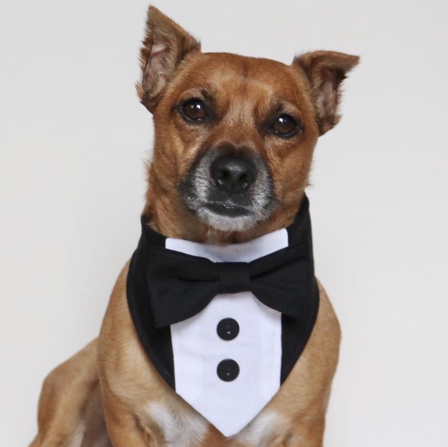 Rhett Butler