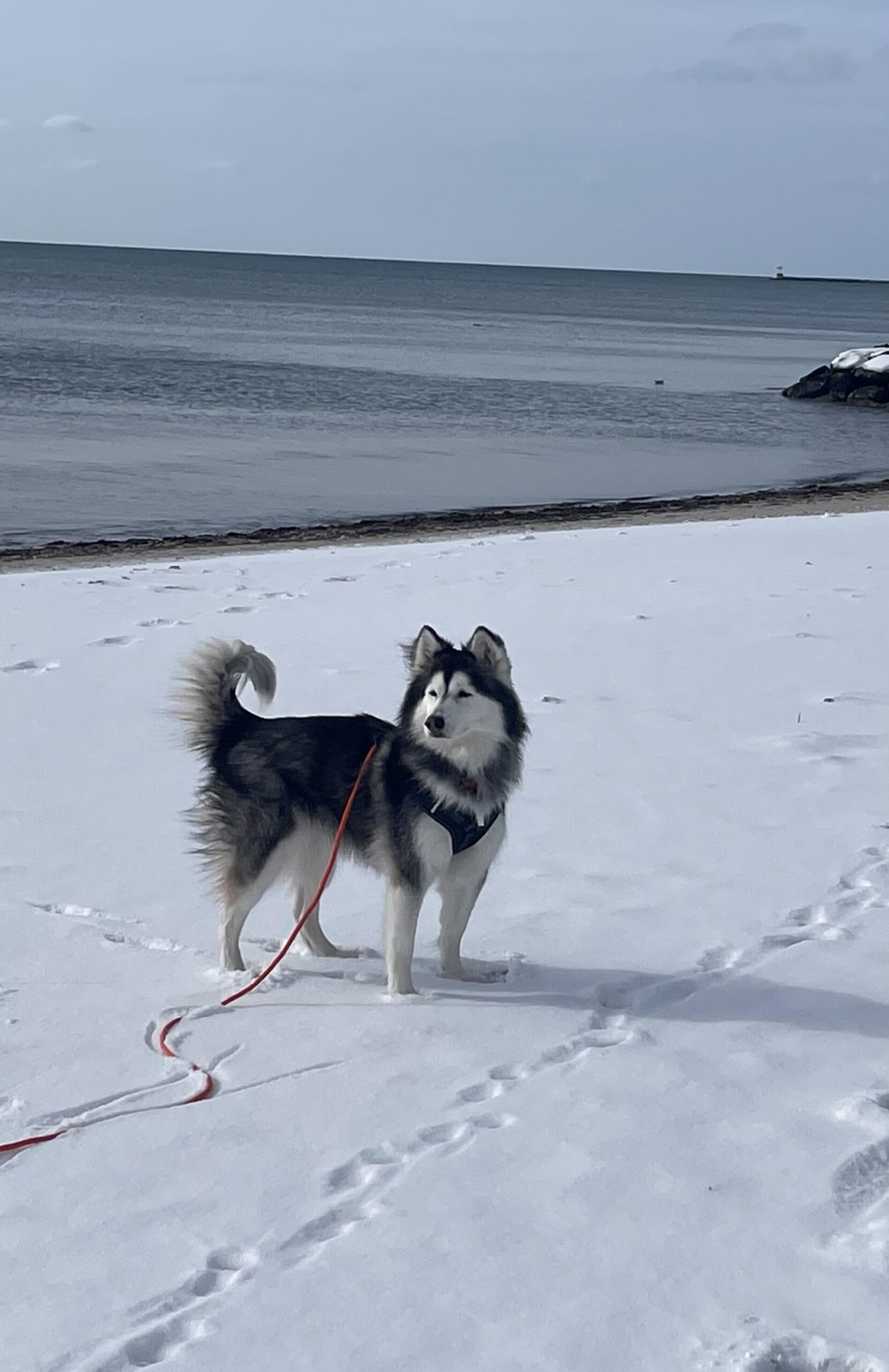 Mika