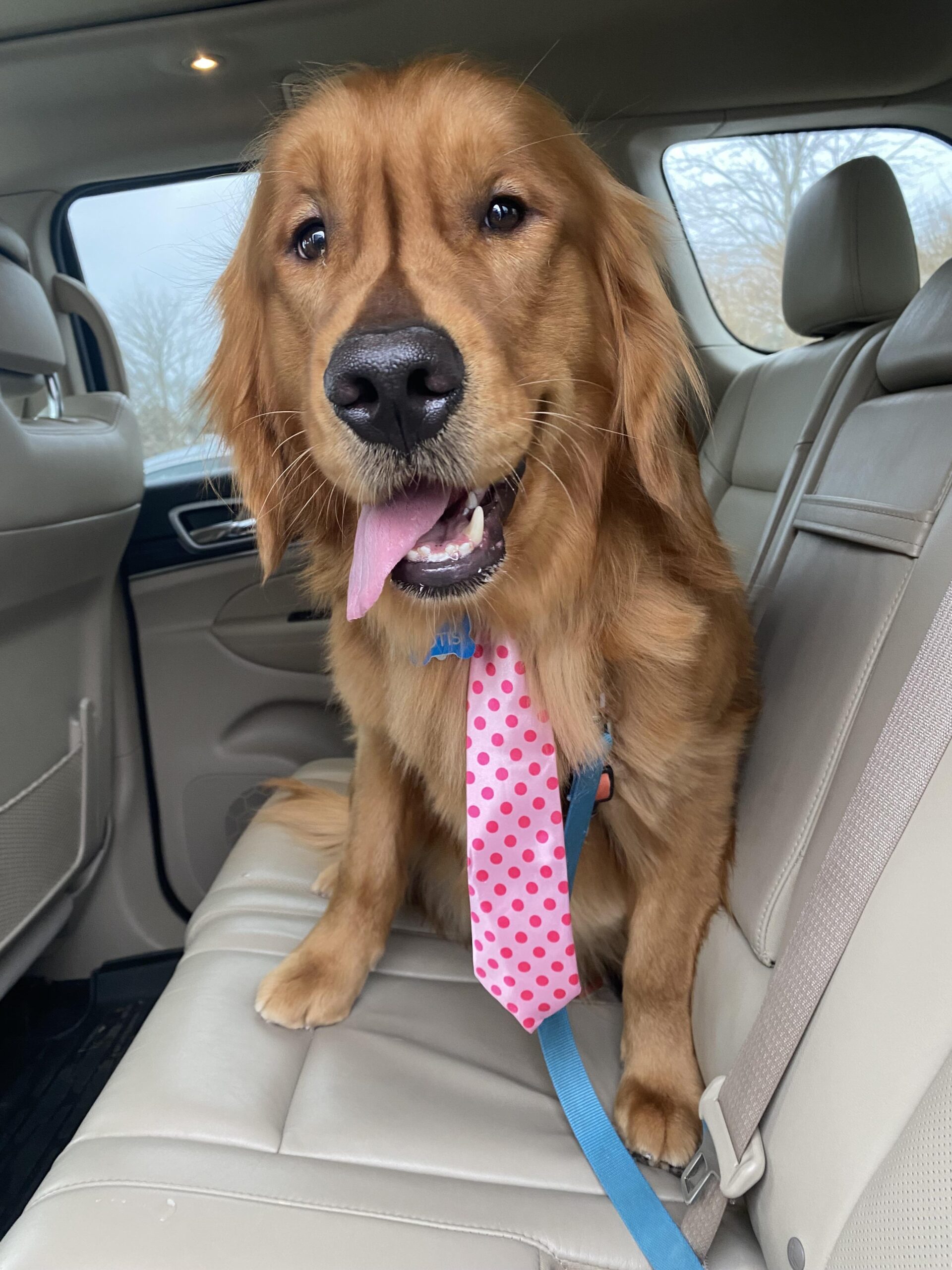 Otis