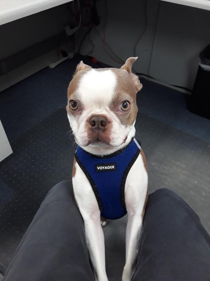 Charlie