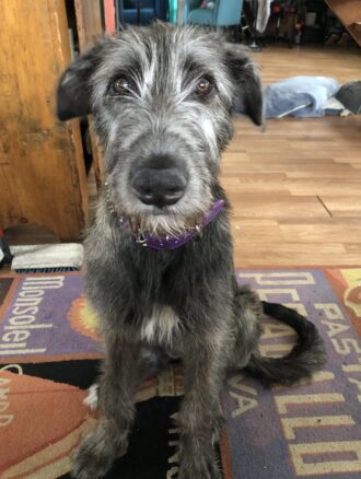 Fiona Violet aka Finn