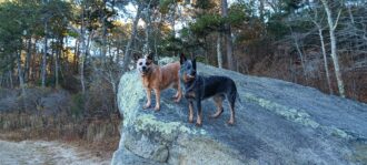 Zarah and Bizzie Bea