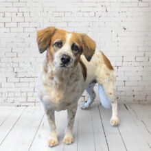 FV_Winner__photo_img