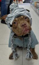 FV_Winner__photo_img